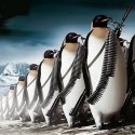avatars-000029628528-e2ovuq-t500x500.jpg